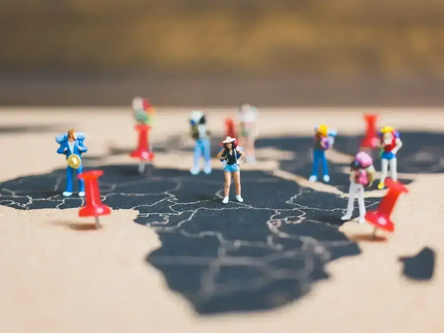 Website design and SEO work for a family service company in Juniper Ridge British Columbia during winter